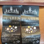 「パール 海の宝石」展 兵庫県立美術館の展示入場チケット