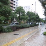 ローズマリーたち2 エンジョイ・ライフのローズマリーの写真2