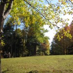 エンジョイ・ライフの森林植物園の写真1