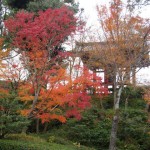 宇治の紅葉 20121202-2