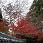 宇治の紅葉 20121202-2
