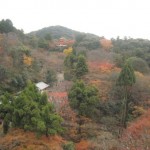 清水寺の画像　20121203-1