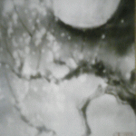 日本画（ムーンライト）