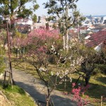 岡本梅林公園1