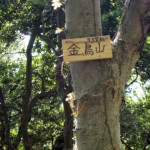 金鳥山