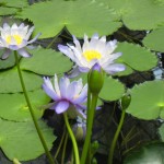 神戸　どうぶつ王国-5