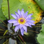 神戸　どうぶつ王国-6