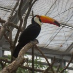 神戸　どうぶつ王国-15