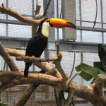 神戸　どうぶつ王国-17