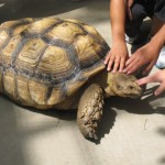 神戸　どうぶつ王国-19