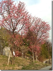 Evernote Camera Roll 20180217 104405