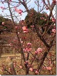 Evernote Camera Roll 20180217 104406