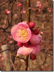 Evernote Camera Roll 20180217 104407