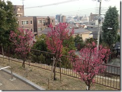 Evernote Camera Roll 20180217 104412