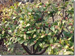 Evernote Camera Roll 20180217 104413