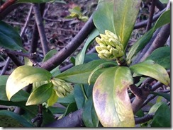 Evernote Camera Roll 20180217 104414