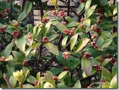 Evernote Camera Roll 20180217 104415