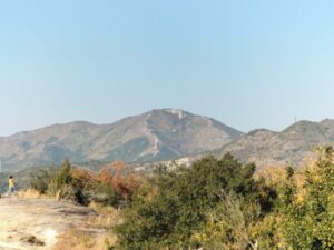 高御位山の望む