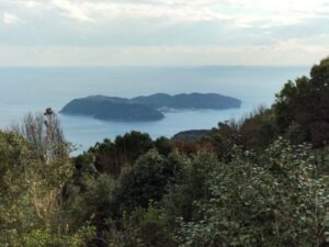 諭鶴羽山から沼島を望む