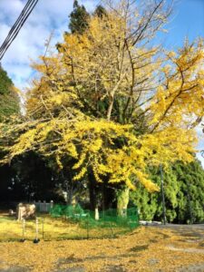 諭鶴羽神社・境内1