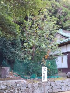 諭鶴羽神社・境内2