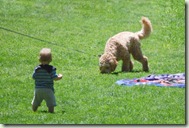 child&dog