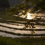 棚田の写真 | 風船のレイキ