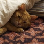 休息のイメージ