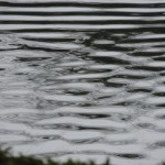 波動のイメージ